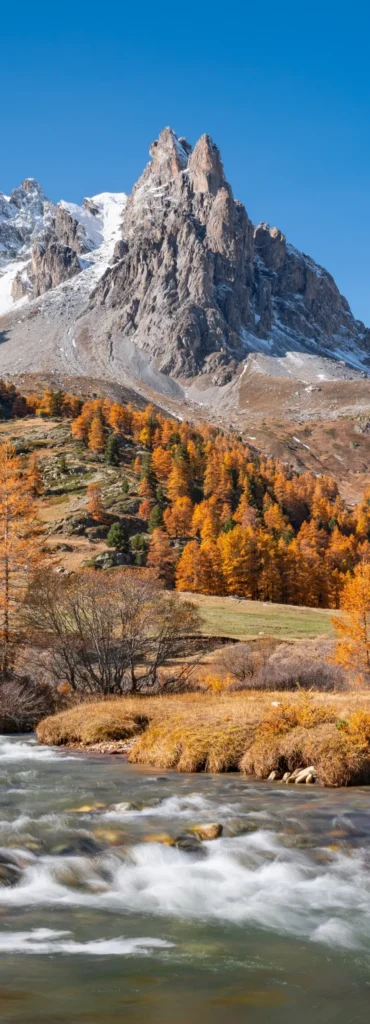 River flowing through a forest of golden trees in the French Alps