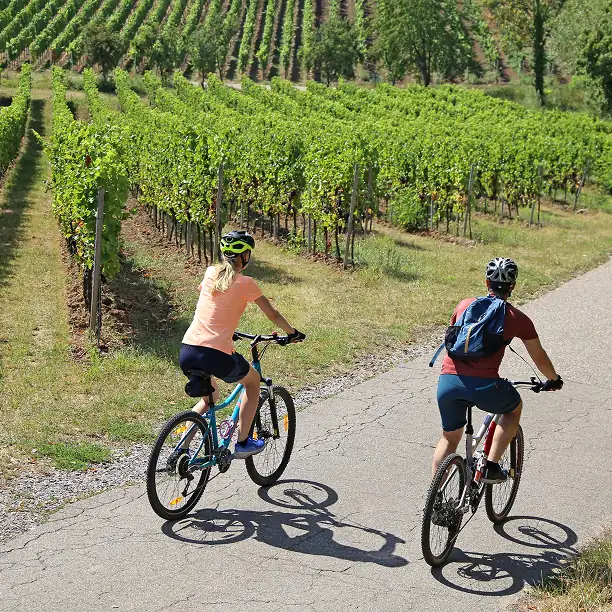 Couple riding electric bikes through sunlit Champagne vineyards