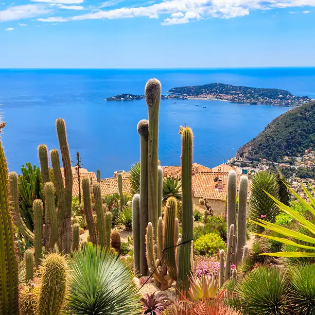 Seaside village with cactus garden and stone architecture in France