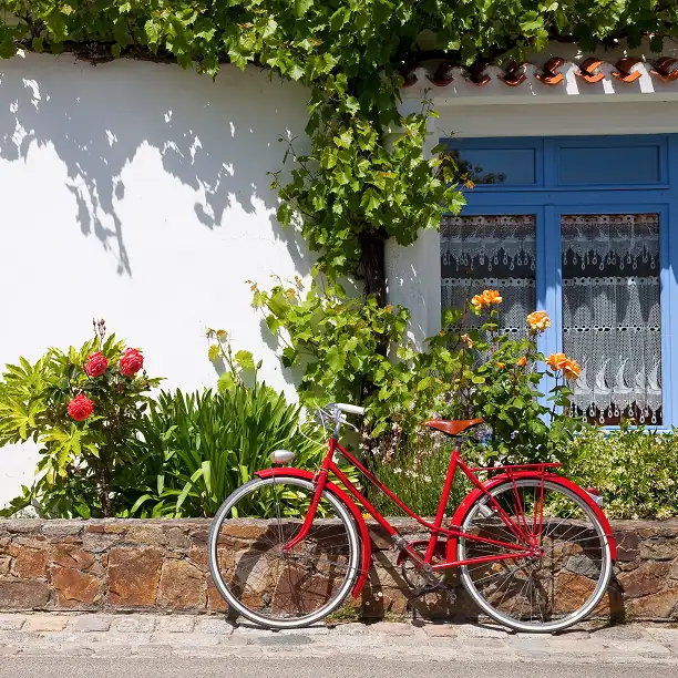 Red electric bicycle near a flowered home in a French village vineyard