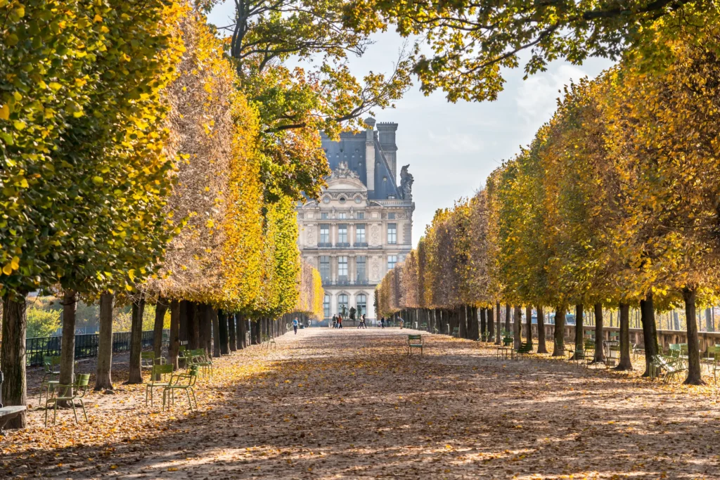 French chateau surrounded by golden autumn trees