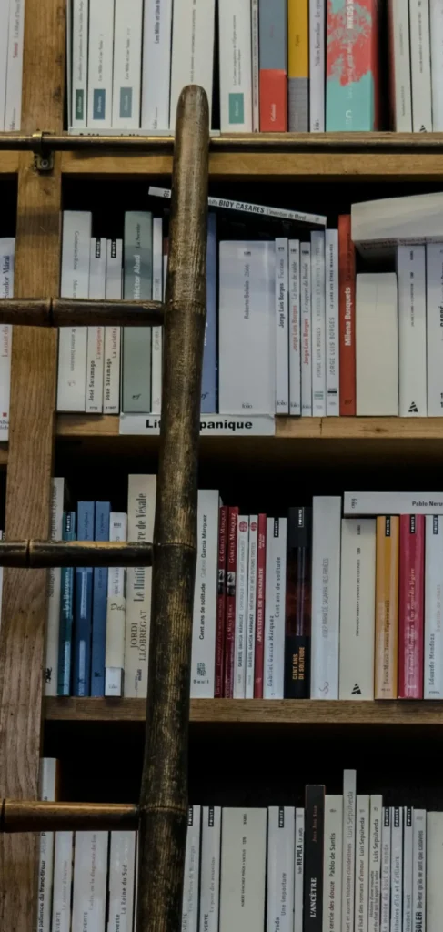 Books lined up on wooden shelves in a French literary library