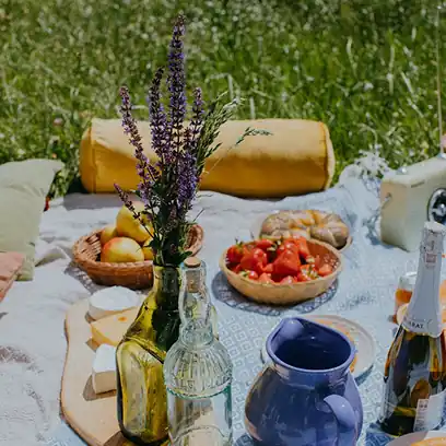 Luxury picnic setup in a lavender or olive grove