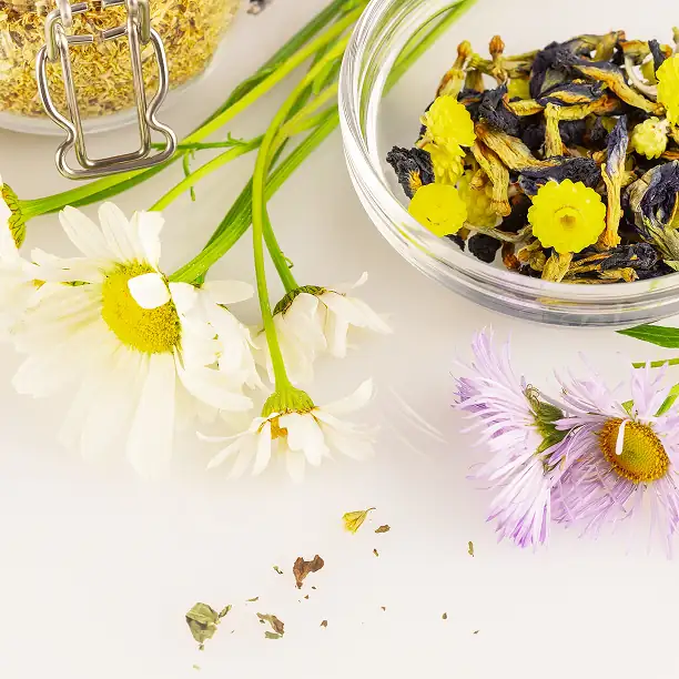 Assorted dried flowers and herbs for infusion on a white background