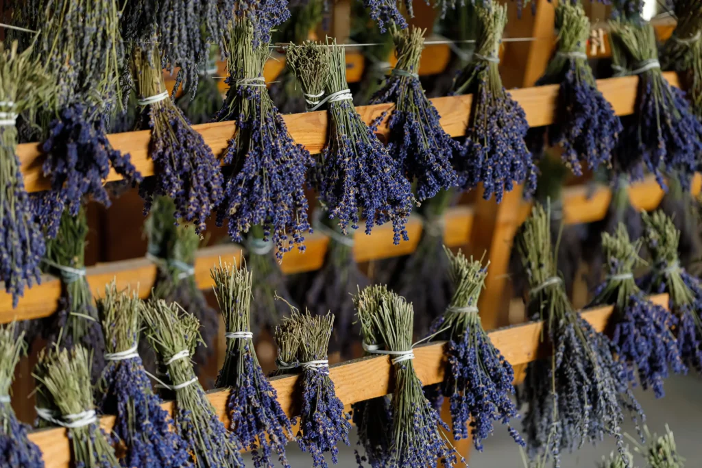 Lavender sachets displayed at a market in southern France
