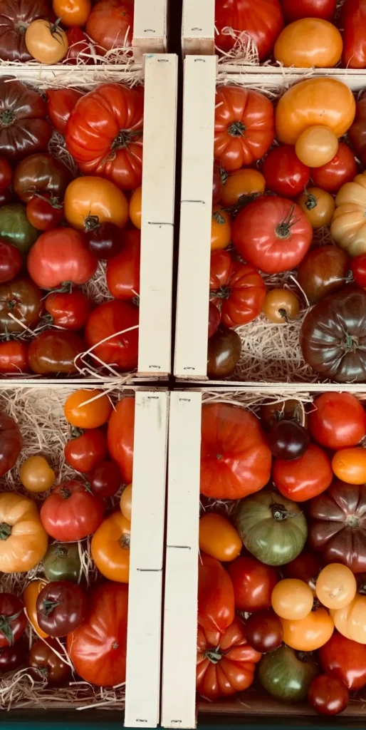 Assorted heirloom tomatoes in a rustic French market stall