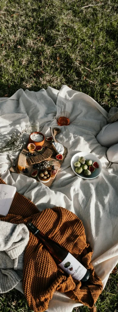 Elegant picnic setup with gourmet treats on a blanket in the grass