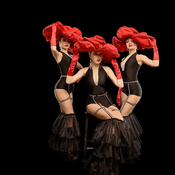 Private opera and cabaret cultural evening in Paris