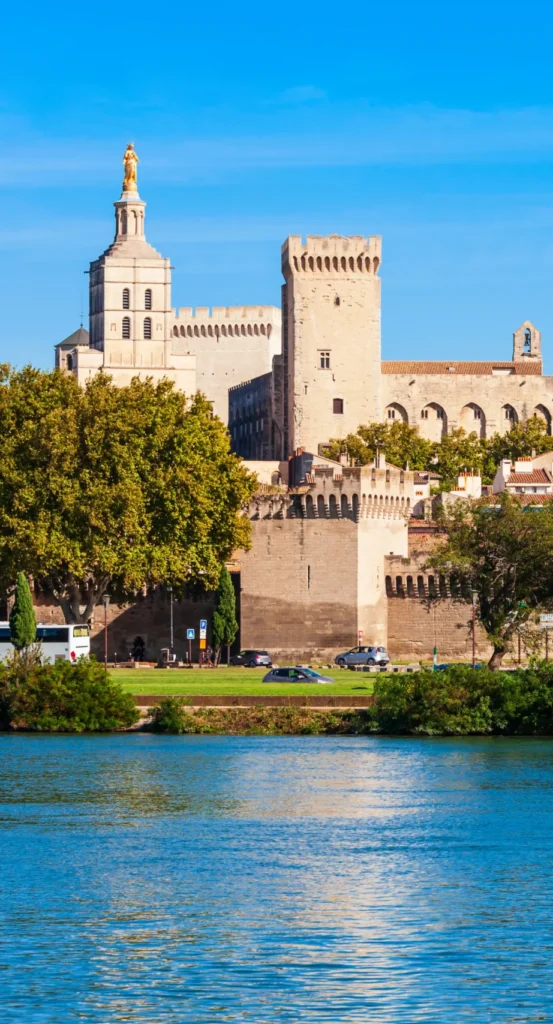 Scenic view of the Palais des Papes in Avignon from the Rhône River