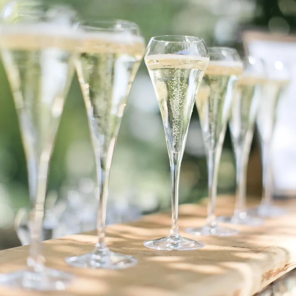 Row of elegant champagne flutes ready for a celebration in a garden setting