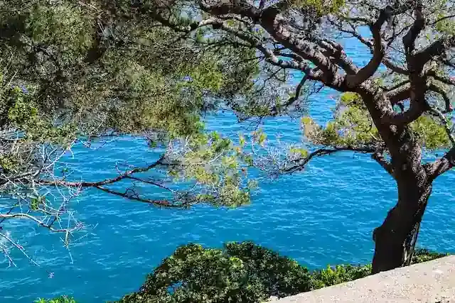 Mediterranean sea view on the French Riviera for a luxury holiday