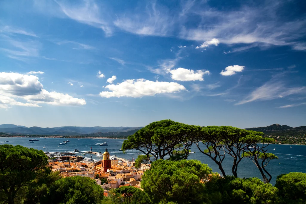 Panoramic view of Saint-Tropez and its bay through pine trees