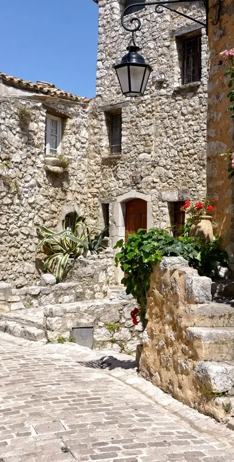 Historic stone village house with climbing vines and traditional Provençal architecture in medieval French village