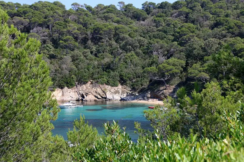 Secluded Mediterranean cove surrounded by lush greenery on the French Riviera coastline