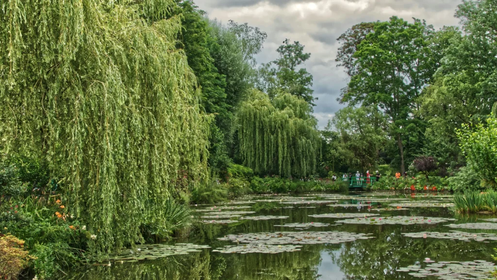 Tranquil water lily pond with weeping willows at Monet's Gardens in Giverny, France