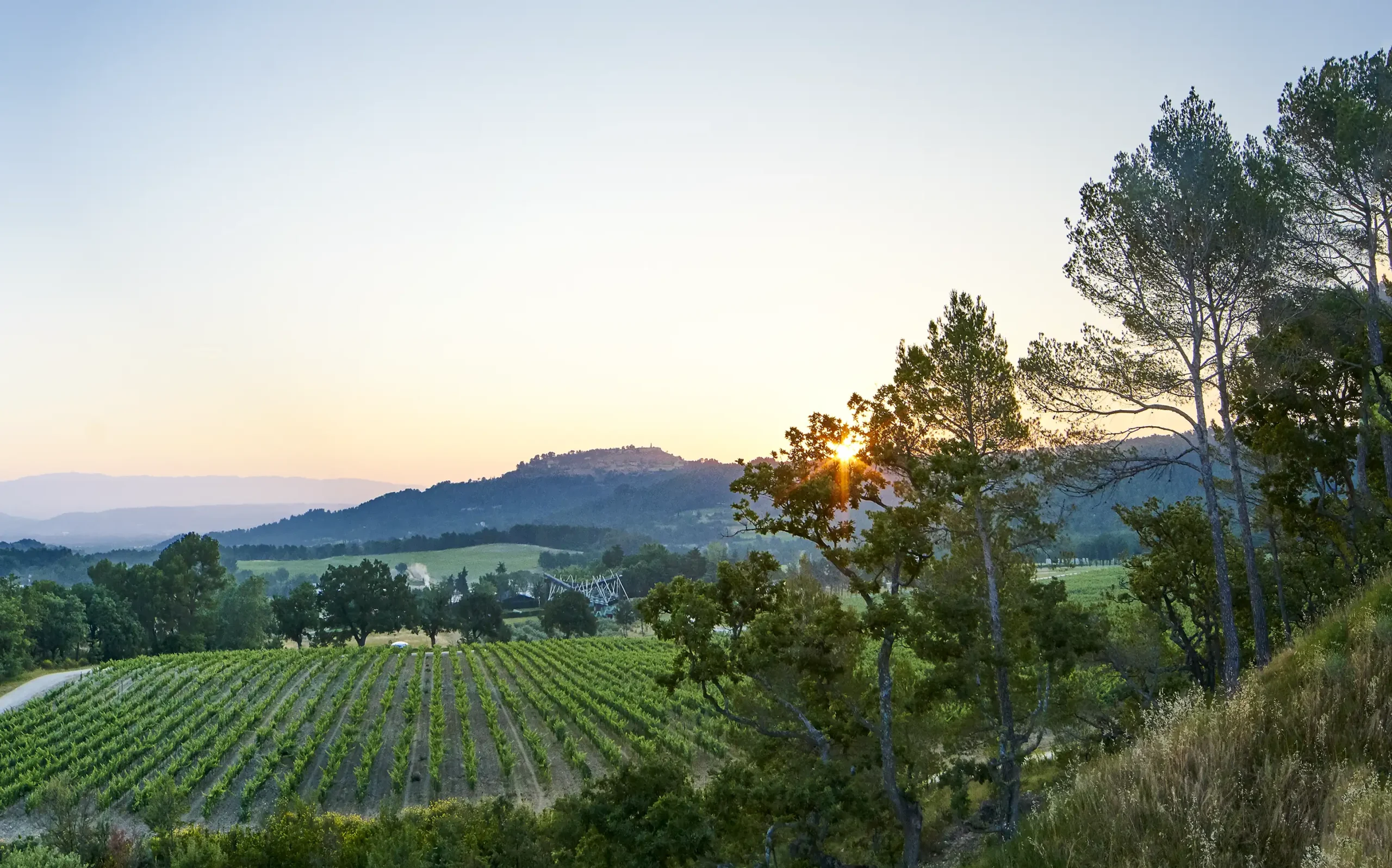 Panoramic view of Château La Coste vineyards in Provence with rolling hills and Sainte-Victoire mountain