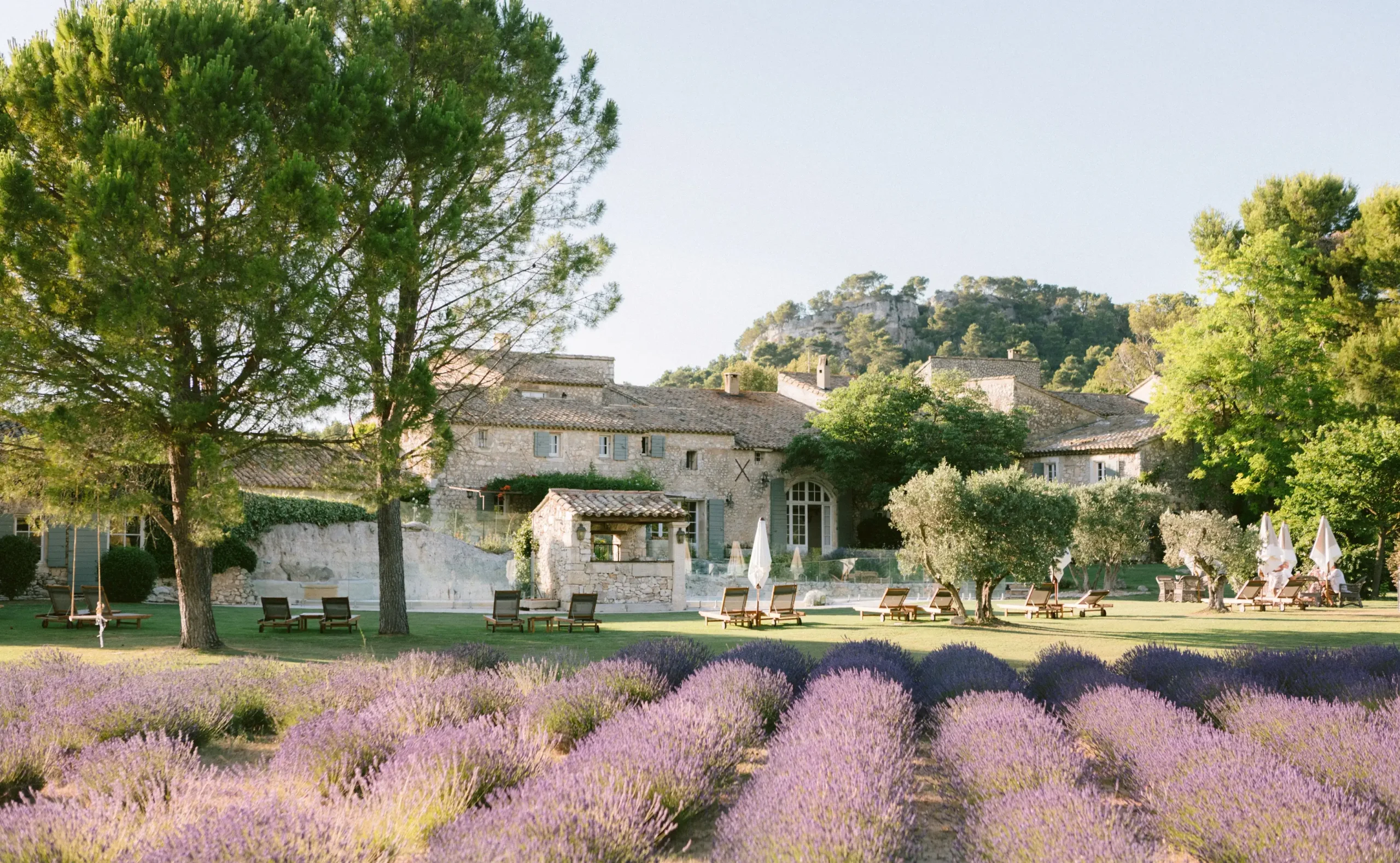Perfectly manicured rows of purple lavender leading up to a historic stone estate