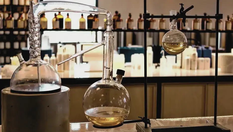 Exclusive wine tasting experience in a private cellar in Provence, France