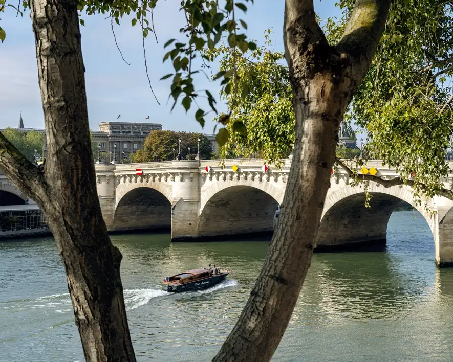 Pont Neuf bridge crossing the Seine framed by trees in Paris.[memory:2]
