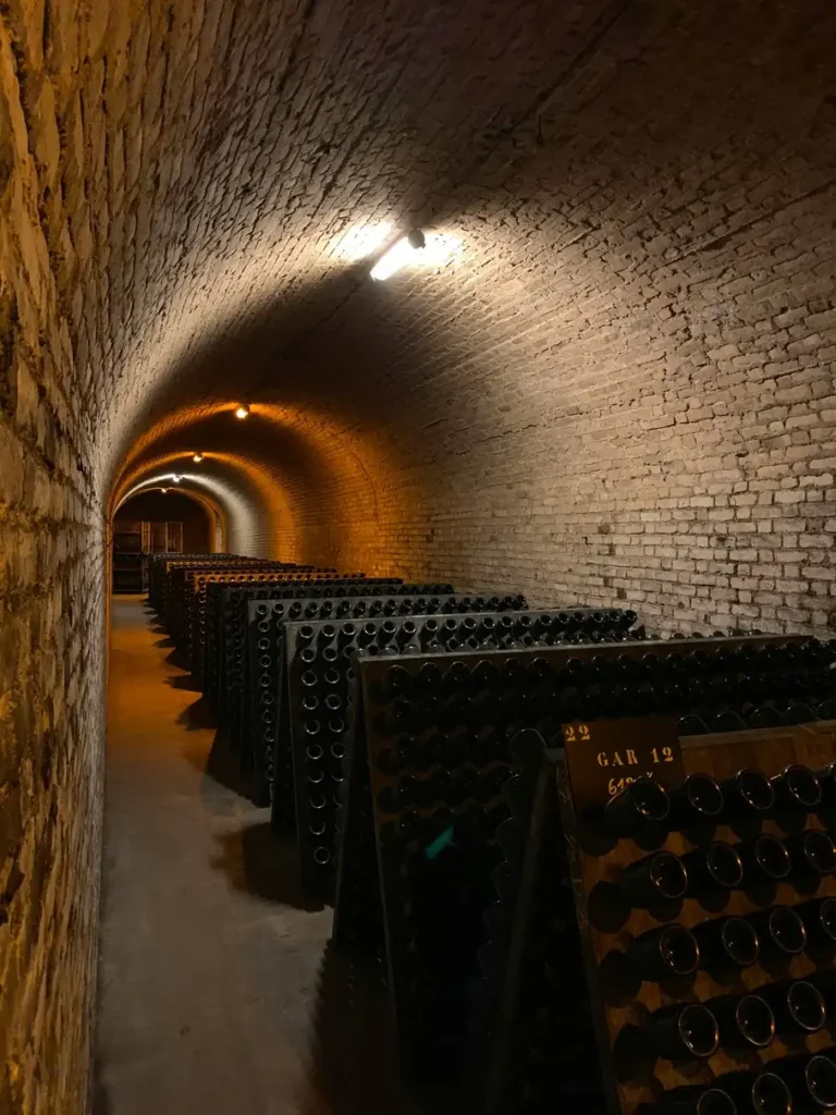 Traditional wine aging cellar with oak barrels in France