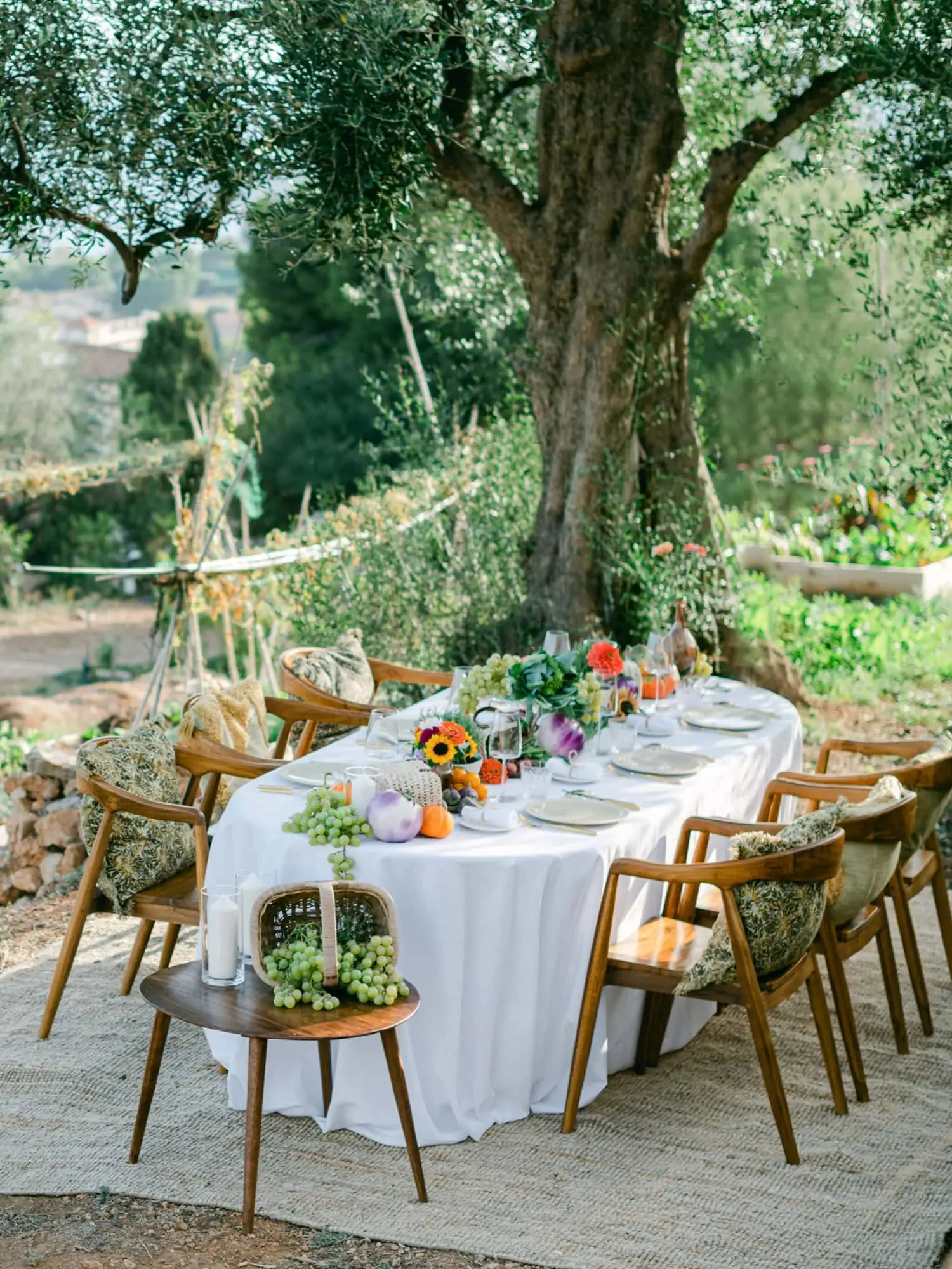 Beautifully set banquet table under ancient olive trees for a luxury event in Provence