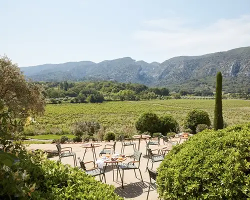 Rolling vineyard and Luberon mountain views at a private luxury wellness retreat in Provence