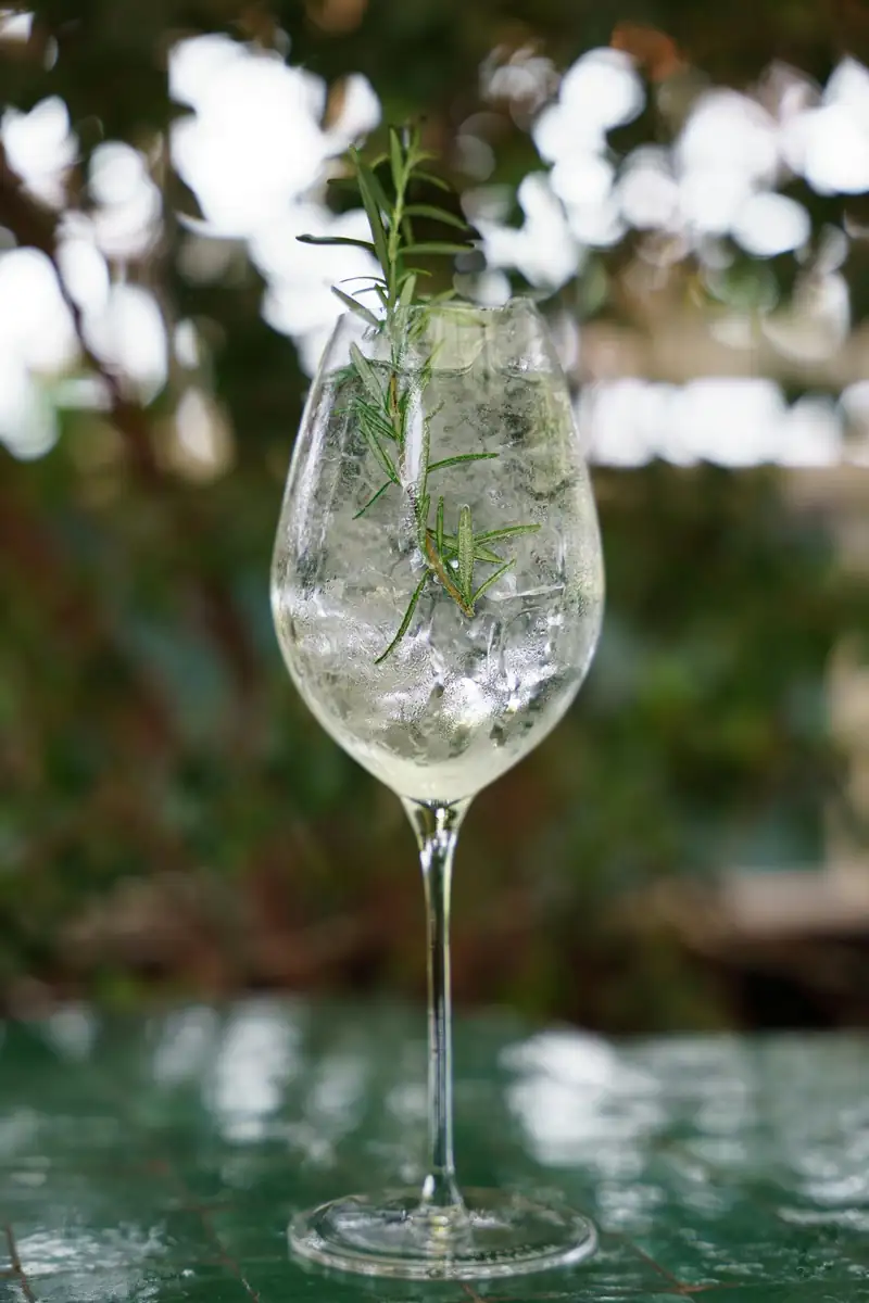 Elegant wine glass set against a lush vineyard backdrop