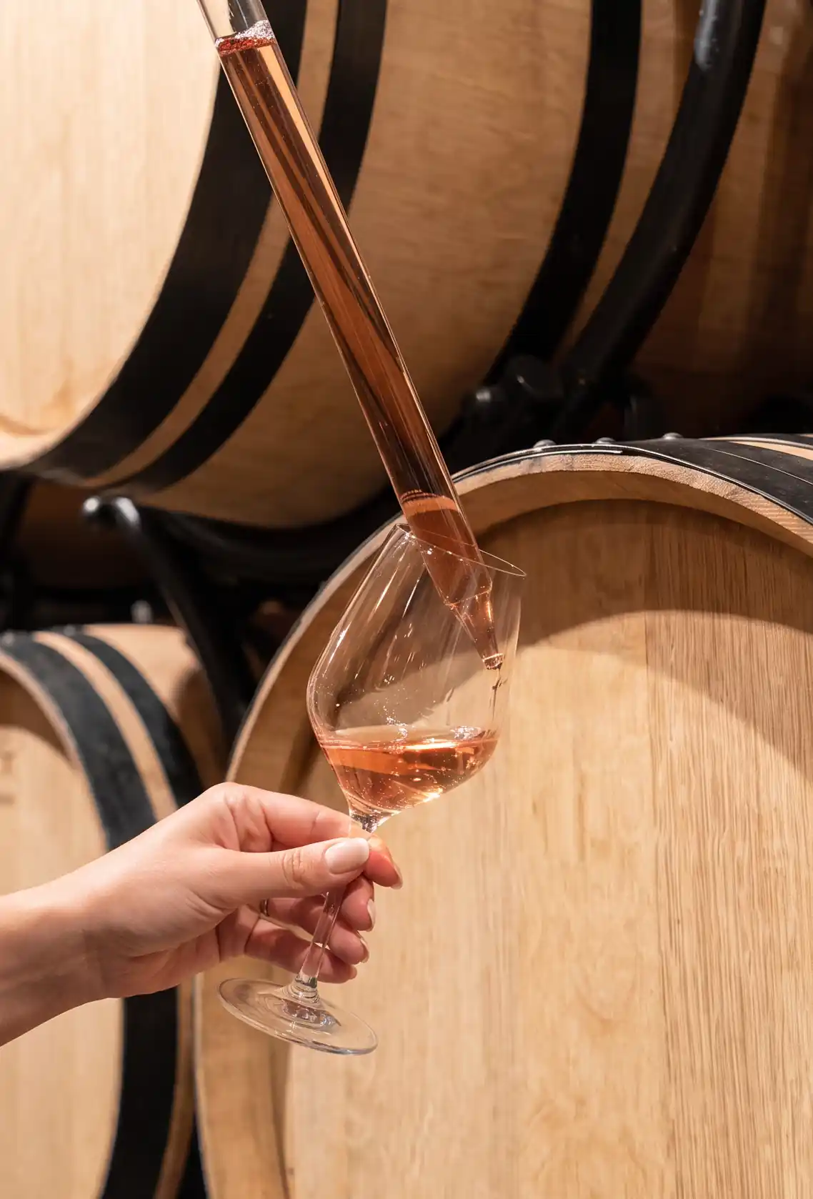 Rosé wine being poured into a glass inside a Provence barrel cellar during a private tasting